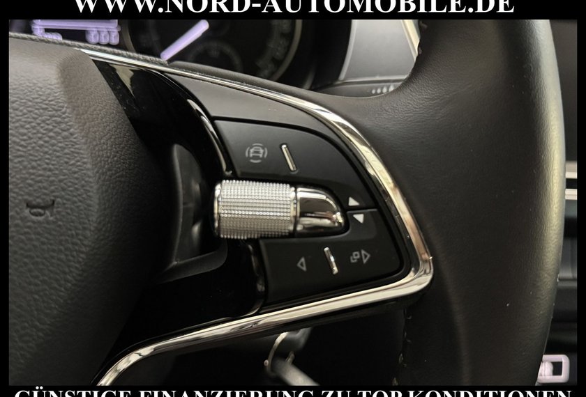 Skoda Fabia Fabia Combi Ambition DSG Navi/LED/PDC/AHK/16