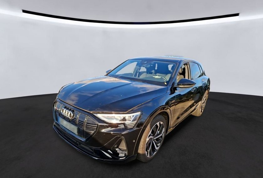 Audi e-tron e-tron 50 QU.S-Line Matrix/Kamera/21/