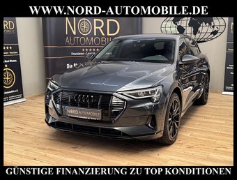 Audi e-tron e-tron 50 QU.S-Line Teilleder/Kamera/Navi/21