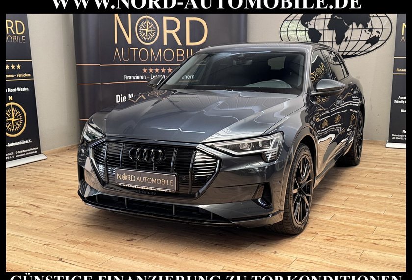 Audi e-tron e-tron 50 QU.S-Line Teilleder/Kamera/Navi/21