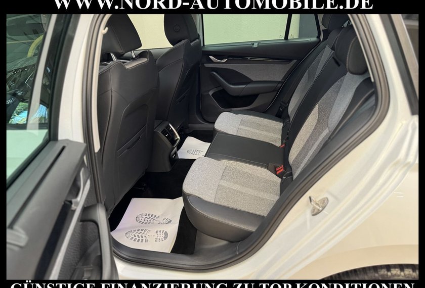 Skoda Octavia Octavia Combi eTSI DSG SELECTION LODGE*STHZ*AHK*