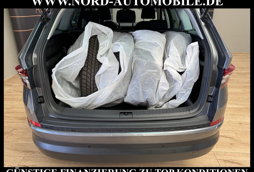 Skoda Kodiaq Kodiaq Ambition 2.0 TDI DSG Virt.Cockpit/AHK/LED