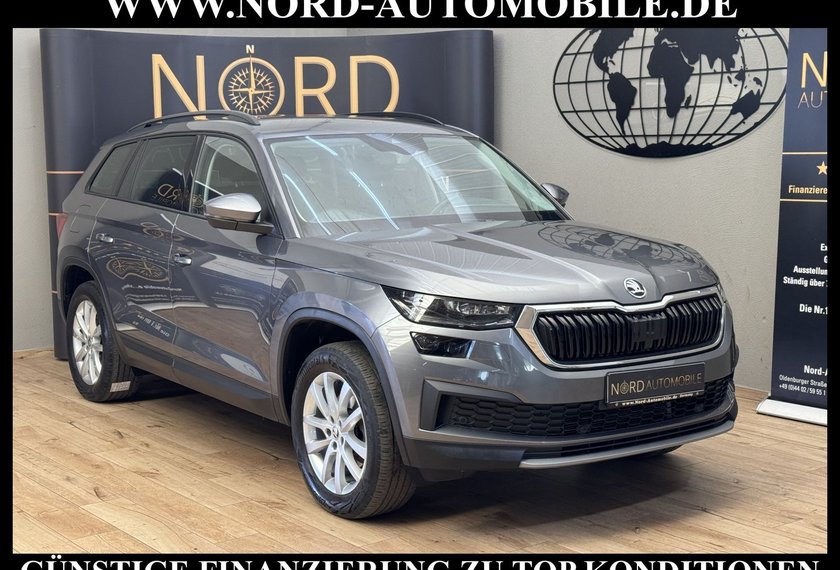 Skoda Kodiaq Kodiaq Ambition 2.0 TDI DSG Virt.Cockpit/AHK/LED