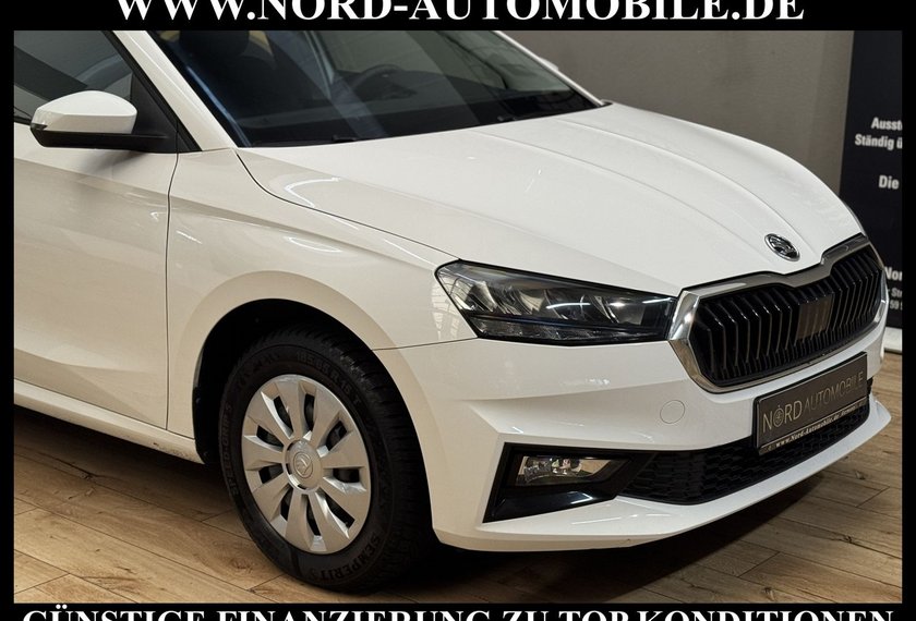 Skoda Fabia Fabia Active 1.0 MPI LED/Klima/SHZ/