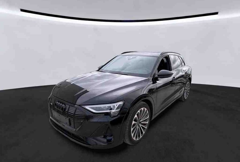 Audi e-tron e-tron 50 QU.S-Line Pano/B&amp;O/ACC/Kamera/Matrix