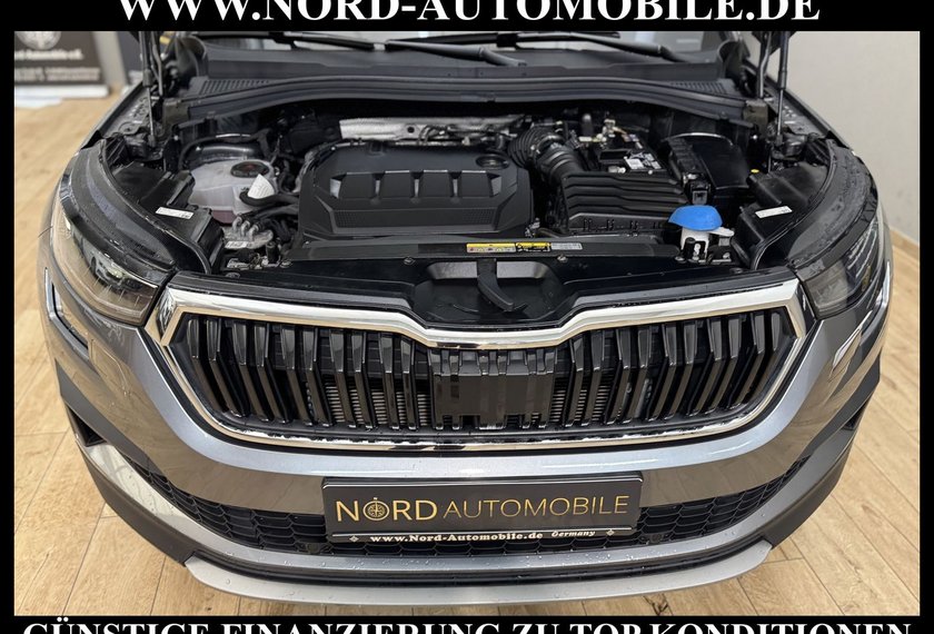 Skoda Kodiaq Kodiaq Ambition 2.0 TDI DSG Virt.Cockpit/Kamera/