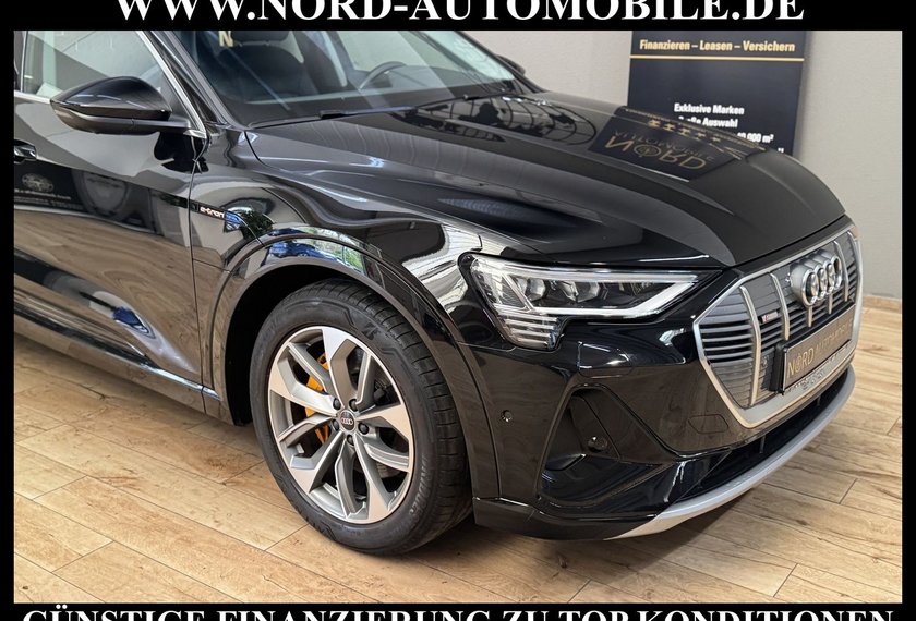Audi e-tron e-tron 55 S-Line QU.Leder/Matrix/B&amp;O/Kamera/20