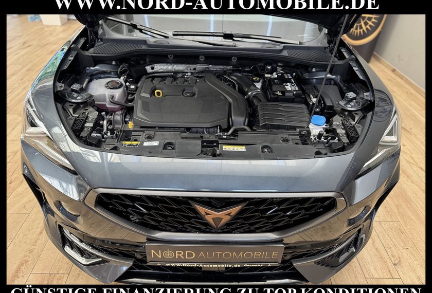 Cupra Formentor Formentor 1.5 TSI DSG Kamera/Navi/LED