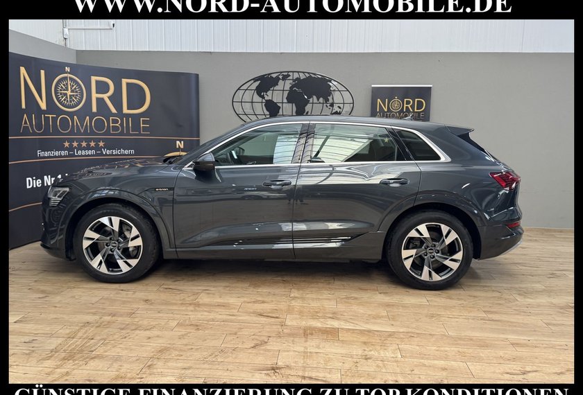 Audi e-tron e-tron advanced QU.Matrix/AHK/Kamera/Side&amp;Lane