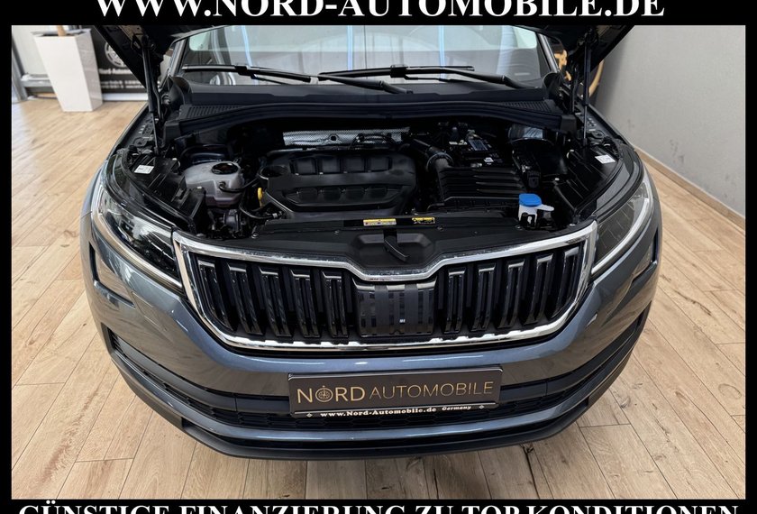 Skoda Kodiaq Kodiaq 2.0 TSI DSG Area View/Navi/LED/19/