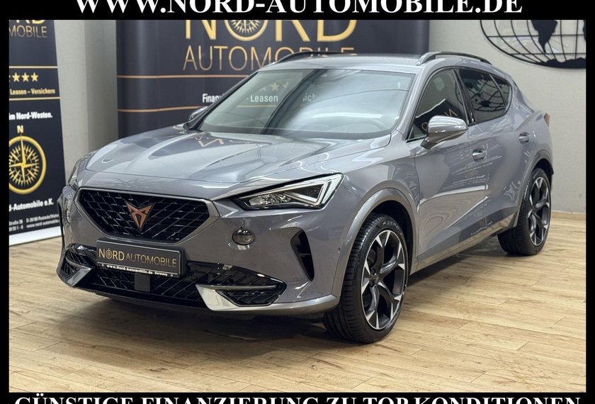 Cupra Formentor Formentor 2.0 TDI DSG Leder/Kamera/Navi/19/