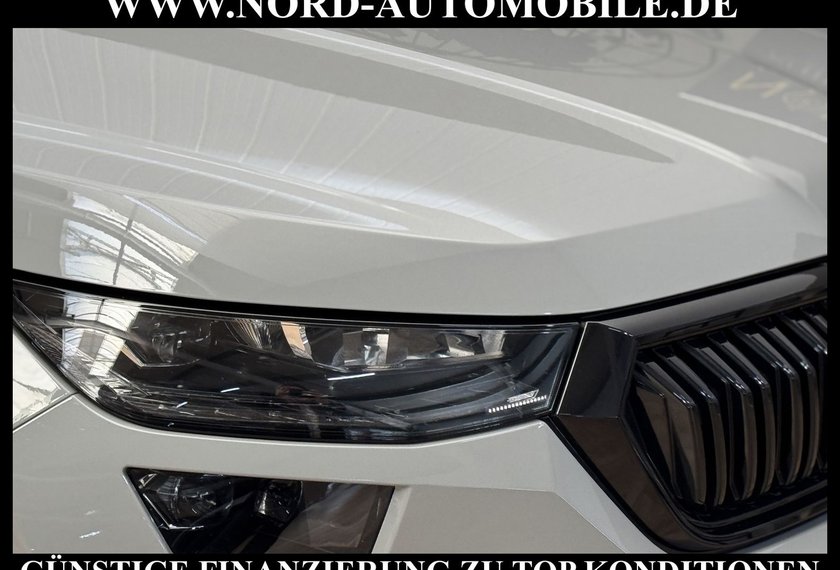 Skoda Kodiaq Kodiaq RS 2.0 TSI DSG Virt.Cockpit/Kamera/20