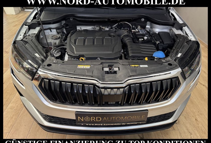Skoda Karoq Karoq Style 2.0 TDI DSG Virt.Cockpit/Kamera/18