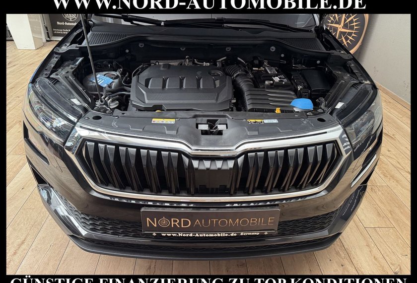 Skoda Karoq Karoq Style 2.0 TDI DSG Virt.Cockpit/Kamera/18