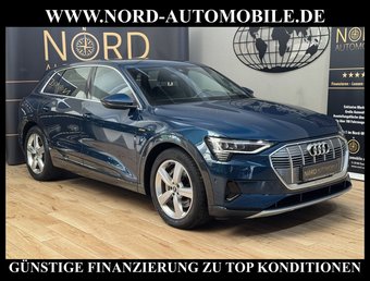 Audi e-tron e-tron 50 QU.S-Line Teilleder/Kamera/Head-Up/20
