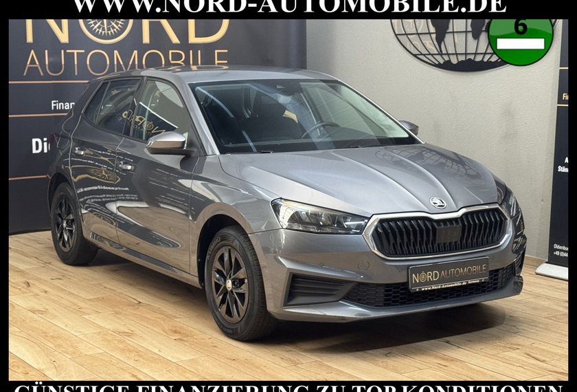 Skoda Fabia Fabia Ambition 1.0 TSI LED/PDC/Klima/15Zoll
