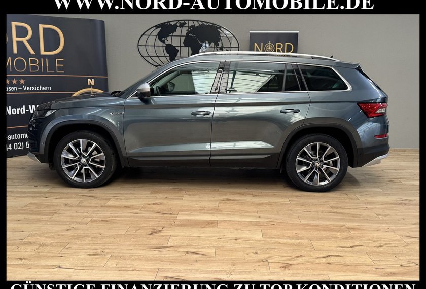 Skoda Kodiaq Kodiaq 2.0 TDI Scout 4x4 DSG StHz/AHK/Kamera/19