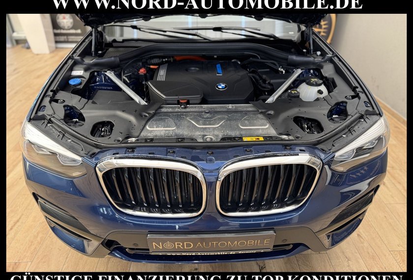 BMW X3 X3 xDrive 30 e Advantage AHK*HiFi*Shadow*Kam*LED