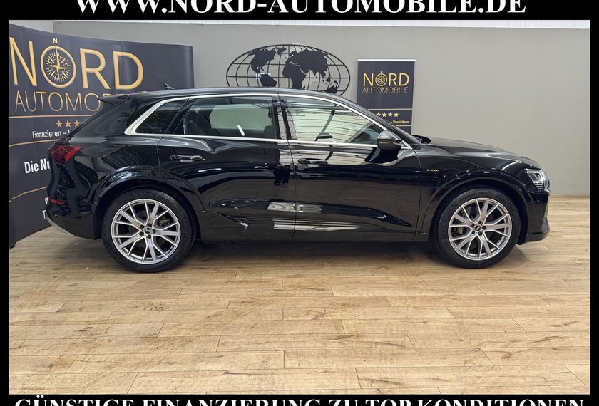 Audi e-tron e-tron 50 QU.S-Line B&amp;O/21/Navi/Teilleder/LED