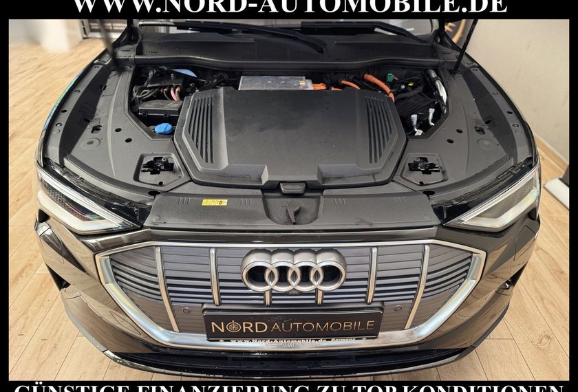 Audi e-tron e-tron 55 QU.Leder/AHK/Side&amp;Lane/LED/21