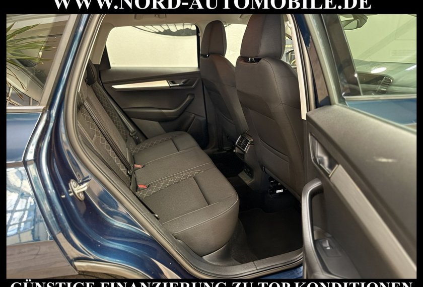 Skoda Karoq Karoq Ambition 2.0 TDI DSG Navi/PDC/SHZ/17