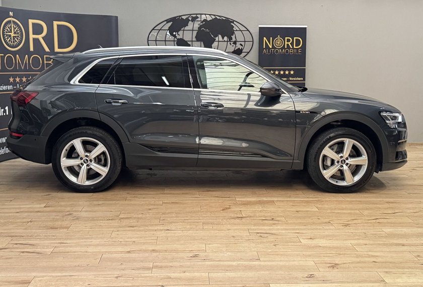 Audi e-tron e-tron 50 QU.Teilleder/Matrix/B&amp;O/ACC/Kamera