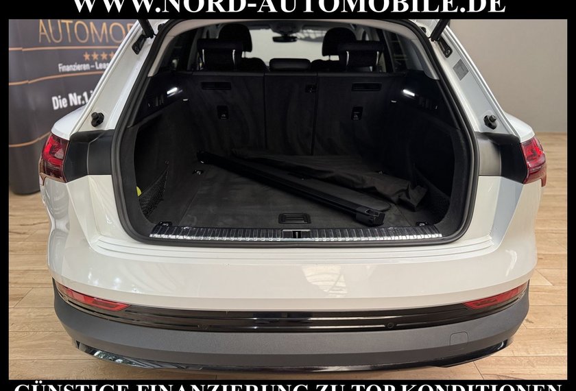 Audi e-tron e-tron 55 QU.Teilleder/Navi/LED/Side&amp;Lane/20
