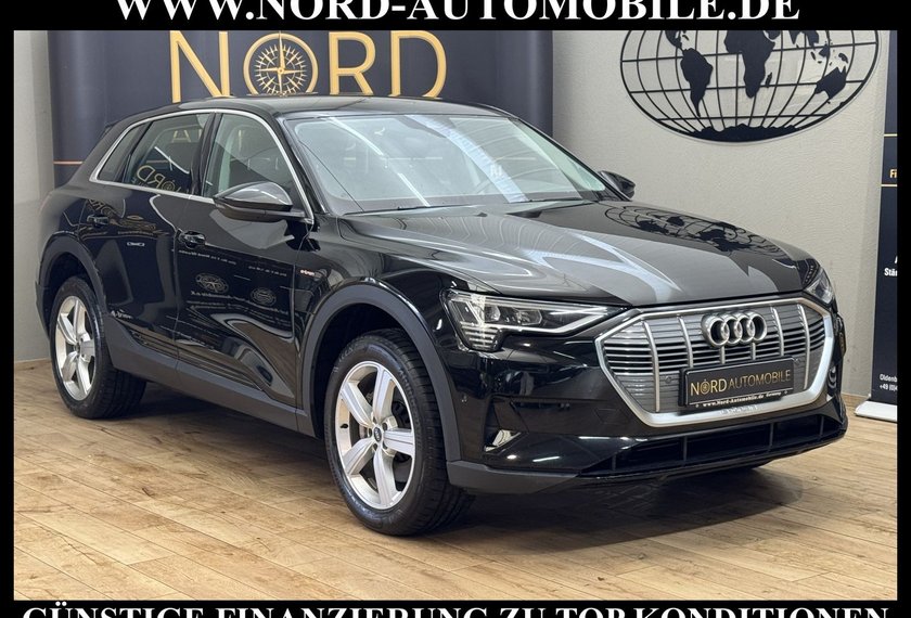 Audi e-tron e-tron 55 QU. Leder/Kamera/Navi/LED/20/97,9%