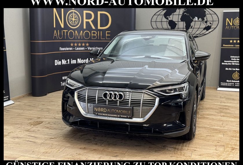 Audi e-tron e-tron 55 QU. Teilleder/AHK/Kamera/20/