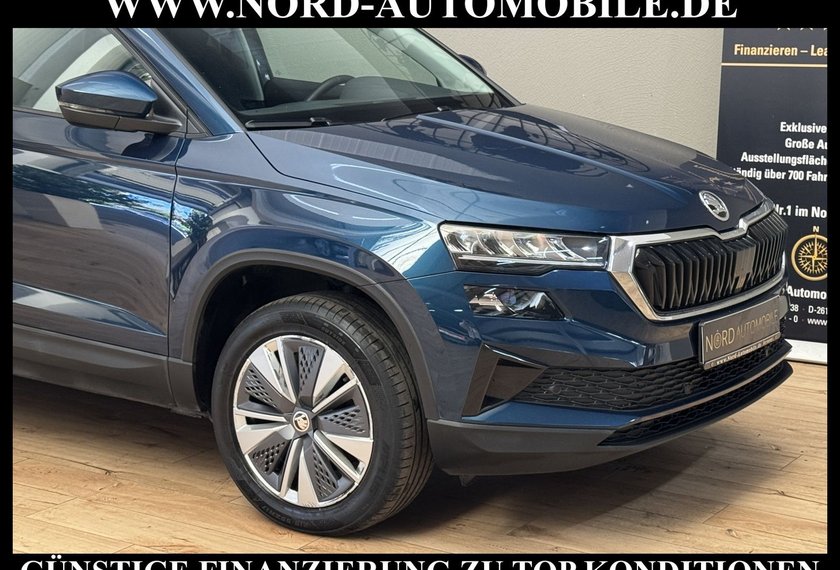 Skoda Karoq Karoq Business 2.0 TDI DSG Virt.Cockpit/Kamera/