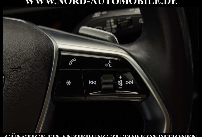 Audi e-tron e-tron 50 QU. S-Line Leder/Navi/LED/21/