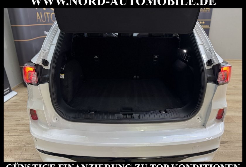 Ford Kuga Kuga 2.0 EcoBlue VIGNALE AWD *AHK*HUD*ACC*LED*