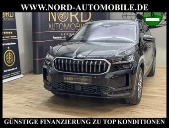 Skoda Kodiaq Kodiaq Selection 2.0 TDI DSG Leder/AHK/StHz/18