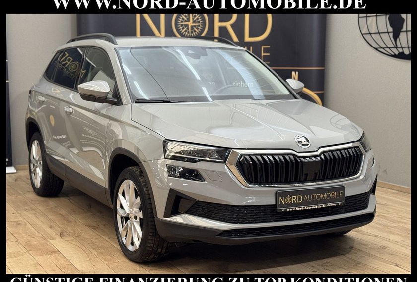 Skoda Karoq Karoq Style 2.0 TDI DSG Virt.Cockpit/AHK/Navi/18