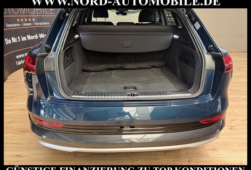 Audi e-tron e-tron 50 QU.S-Line Teilleder/Kamera/Head-Up/20
