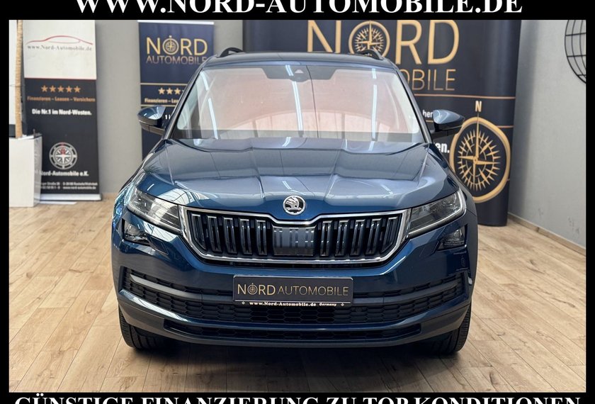 Skoda Kodiaq Kodiaq 2.0 TSI 4x4 DSG Ambition AHK/Virt.Cockpit