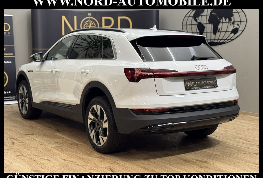Audi e-tron e-tron 50 QU. Matrix/Head-Up/Kamera/20/SOH 95,3%