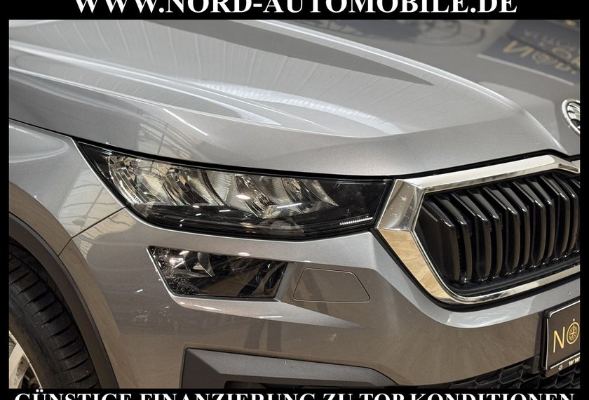 Skoda Kodiaq Kodiaq Ambition 2.0 TDI DSG Leder/AHK/Trittbrett