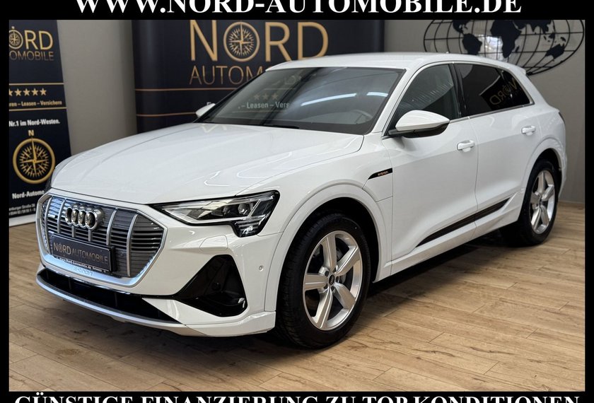 Audi e-tron e-tron 50 QU.S-Line Teilleder/Kamera/20/LED