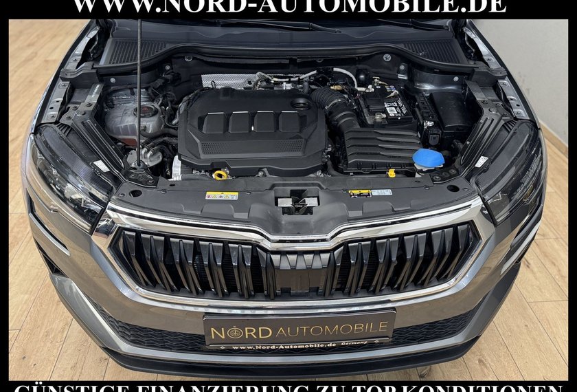 Skoda Karoq Karoq Ambition 2.0 TDI DSG Virt.Cockpit/Kamera/
