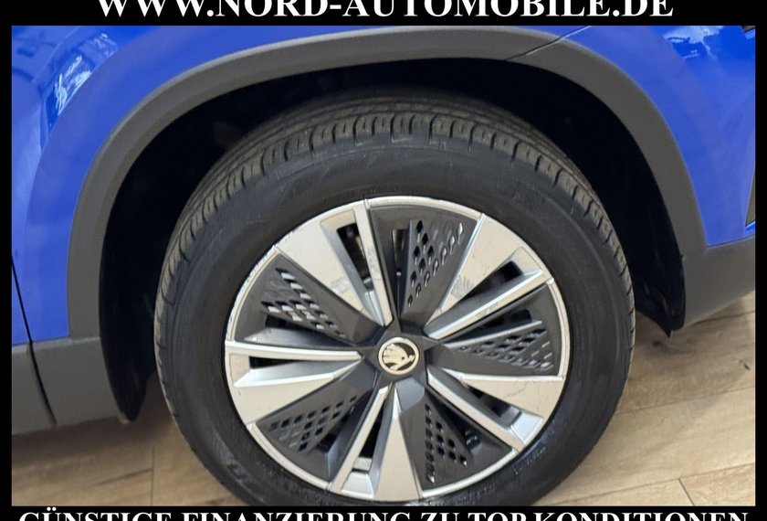 Skoda Karoq Karoq Ambition 2.0 TDI DSG Virt.Cockpit/Kamera