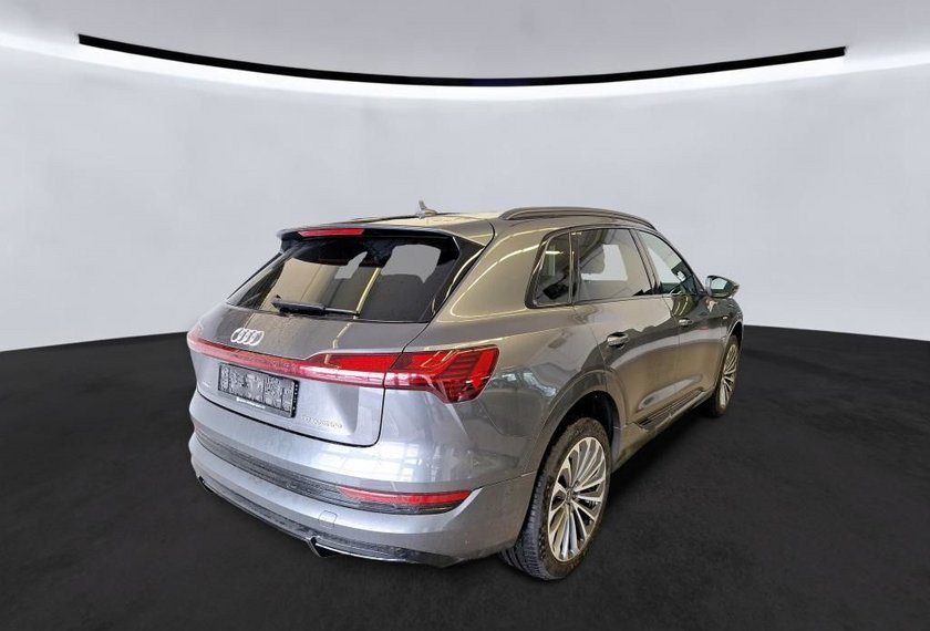 Audi e-tron e-tron 50 QU.S-Line Optik schwarz/21/ACC/Matrix/