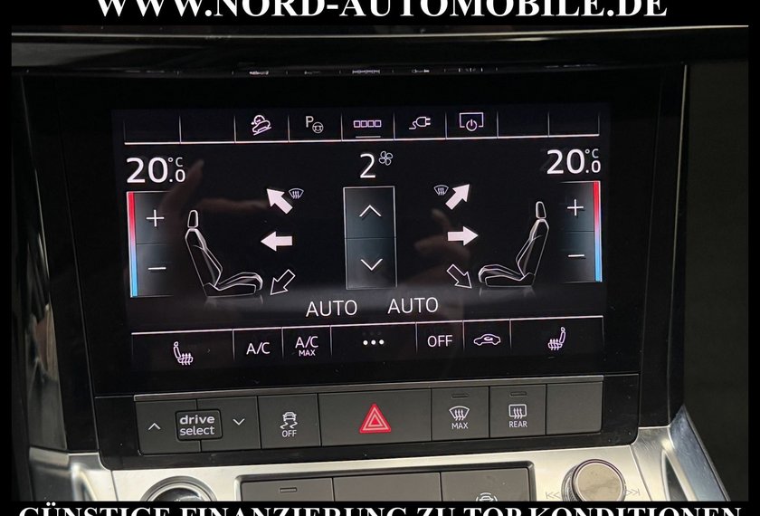 Audi e-tron e-tron 50 QU. Teilleder/Kamera/Navi/LED/20