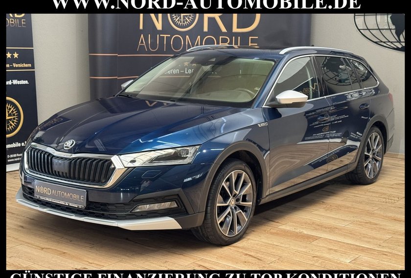 Skoda Octavia Octavia Scout Combi 2.0 TDI DSG Pano/AHK/StHz/18
