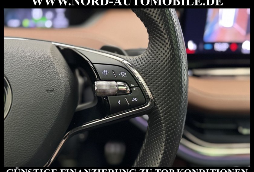 Skoda Enyaq Enyaq iV 80 *FOUNDERS EDITION *PANO*21Z*360KAM*