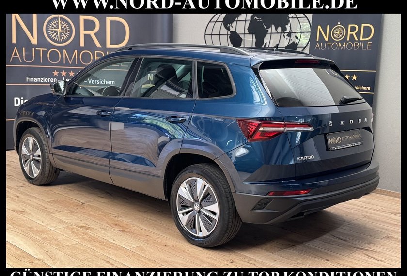 Skoda Karoq Karoq Ambition 2.0 TDI DSG Virt.Cockpit/AHK/Navi