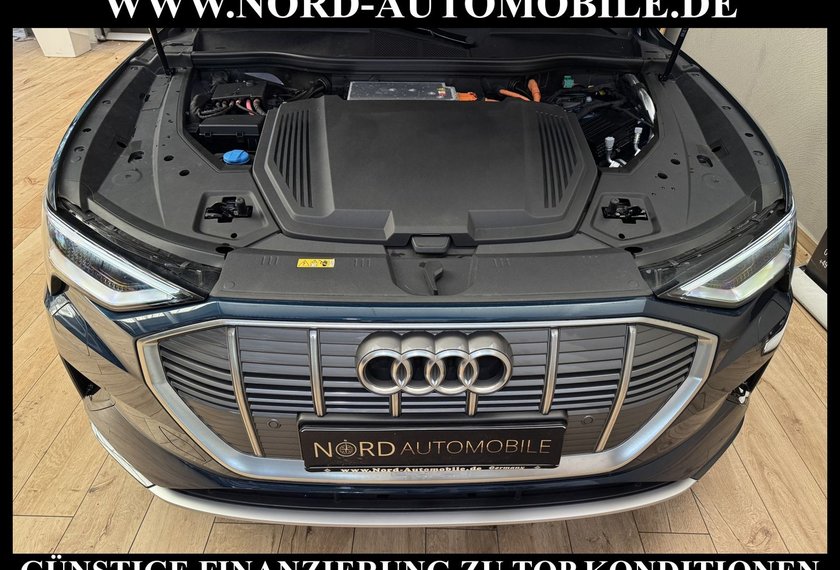 Audi e-tron e-tron 50 QU.S-Line Advanced Teilleder/HadUp/AHK