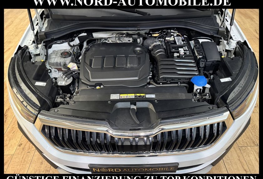 Skoda Kodiaq Kodiaq 2.0 TDI Ambition 4x4 DSG StHz/Pano/LED/