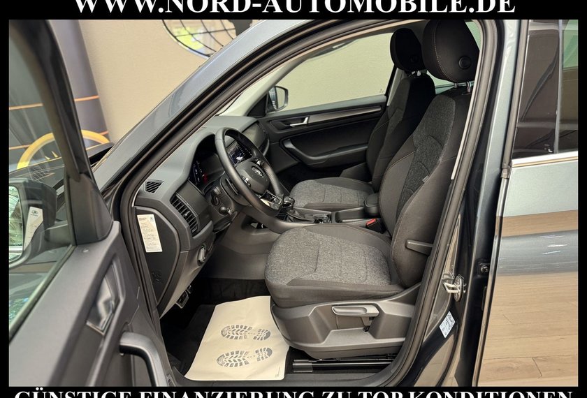 Skoda Kodiaq Kodiaq 2.0 TSI DSG Area View/Navi/LED/19/