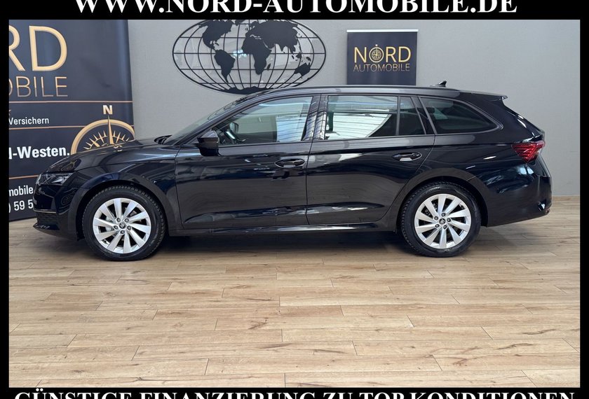 Skoda Octavia Octavia Combi TDI DSG SELECTION LODGE *360*AHK*